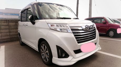 ホワイトトール